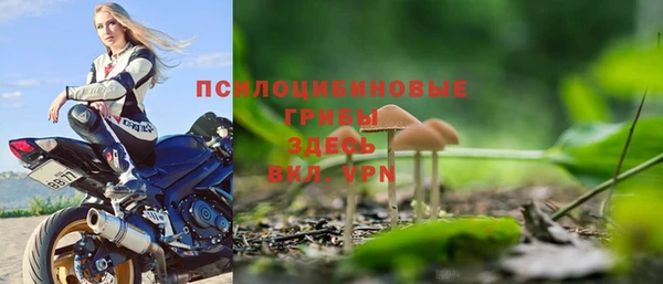 МДПВ Бугульма