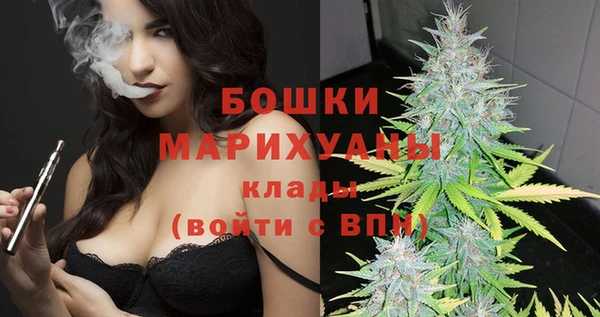 метадон Богданович