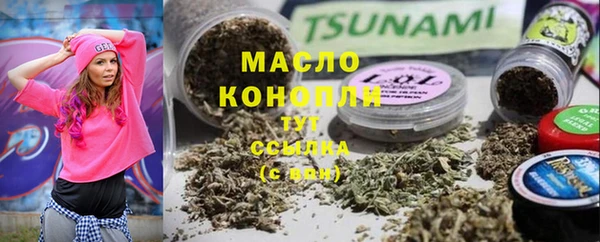 метадон Богданович