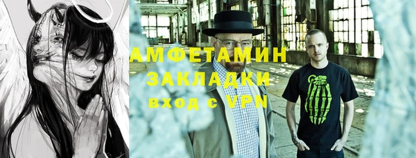 метадон Богданович