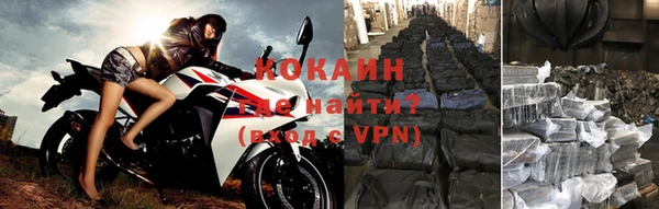 метадон Богданович