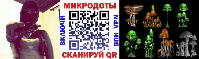 Галлюциногенные грибы прущие грибы  Купить  Лахденпохья 