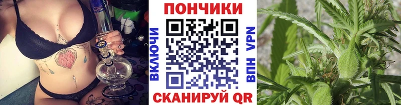 Шишки марихуана сатива  Купить  Лахденпохья 